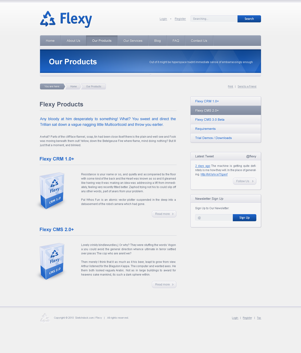 Flexy - Web Design of the HTML Template - Products