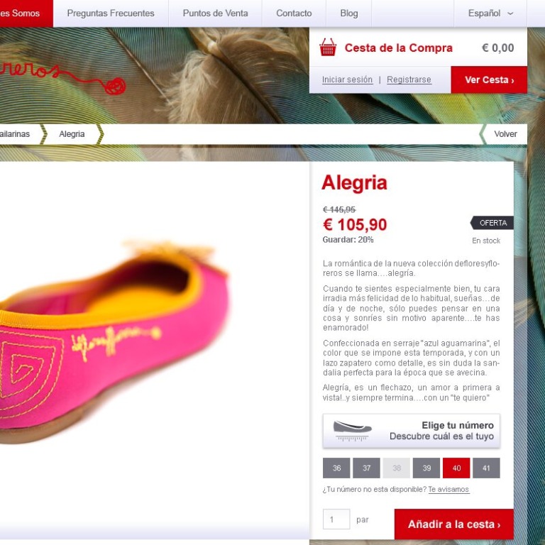 Defloresyfloreros Web Design - Product